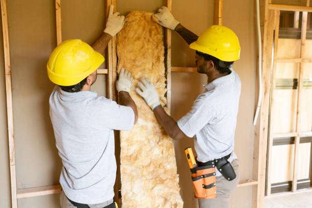 Best Blown-in Insulation  in Audubon, PA
