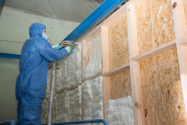 Best Affordable Insulation Services  in Audubon, PA