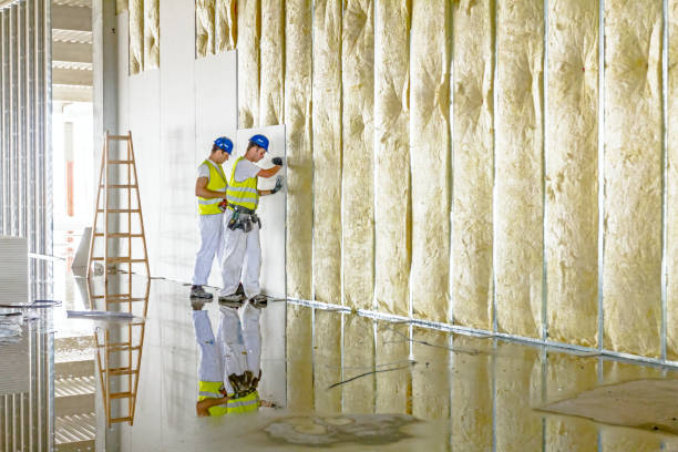 Best Crawl Space Insulation  in Audubon, PA